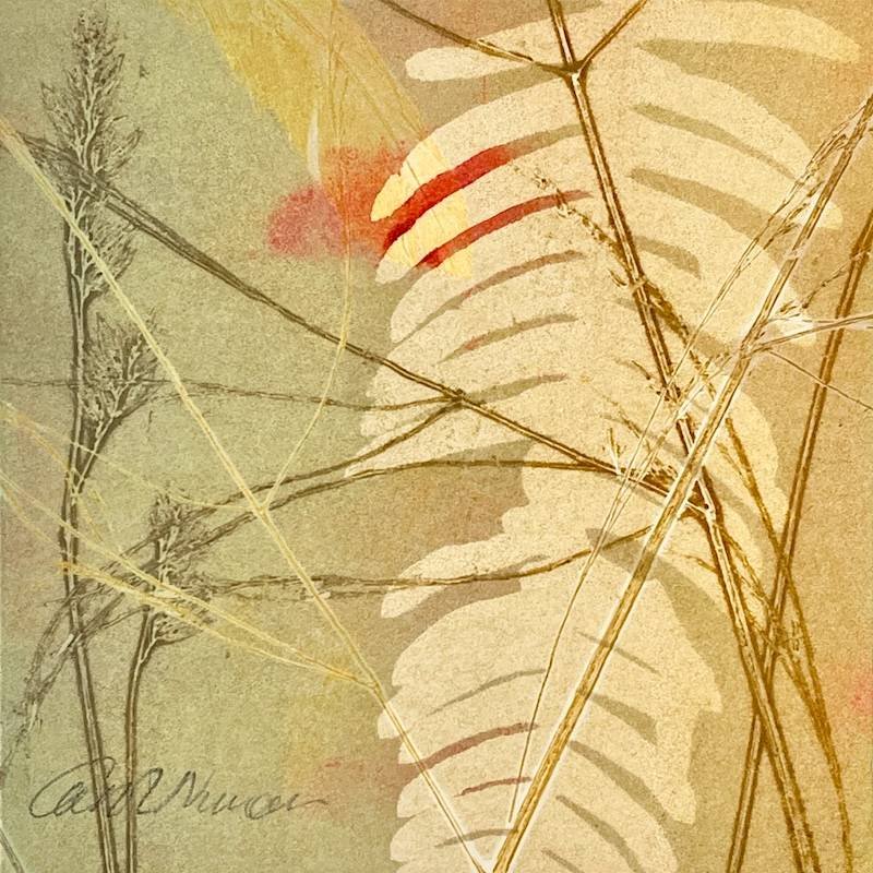a monotype print created using plant material found in woodland in Scotland and Northumberland