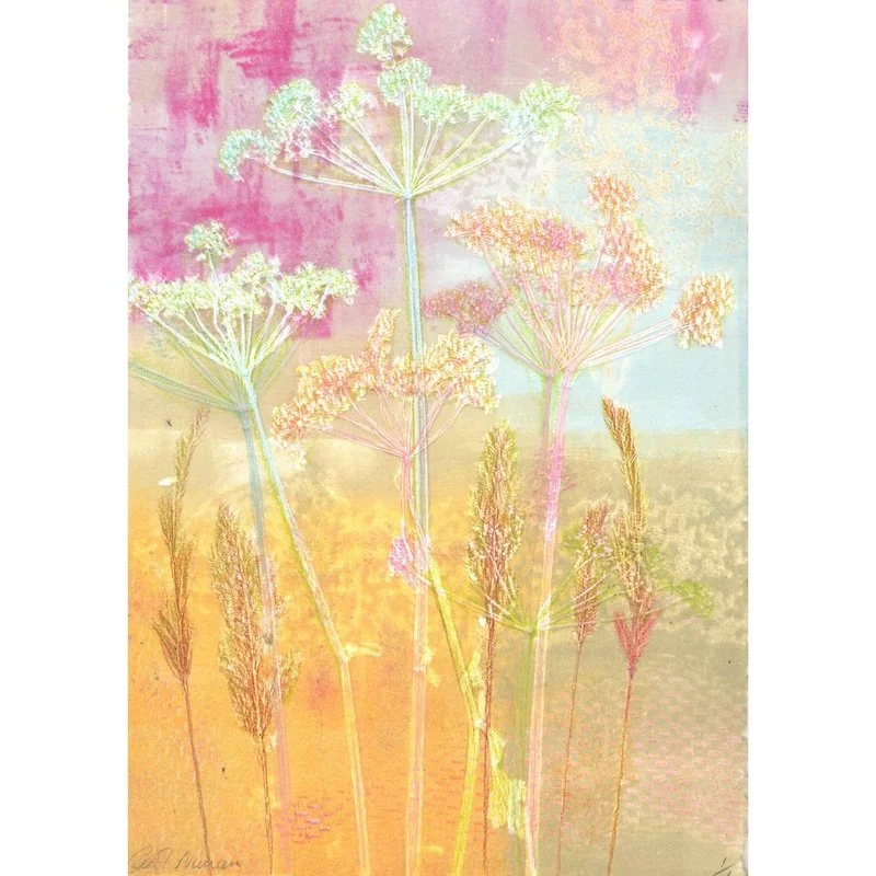 fine-art-print-carol-nunan-woodland-lace - a monotype print in pastel colour palette featuring printed plants from the woods