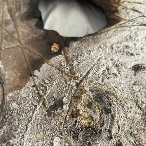 detail 3 of scorched collagraph plate before inking up