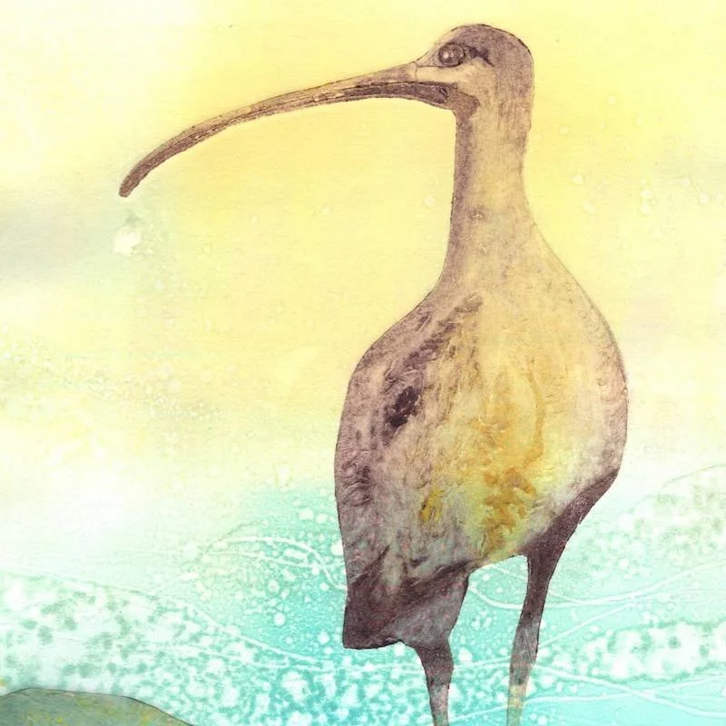 an eco-friendly greeting card featuring a monotype/collagraph print of curlew fishing at the edge of the shore