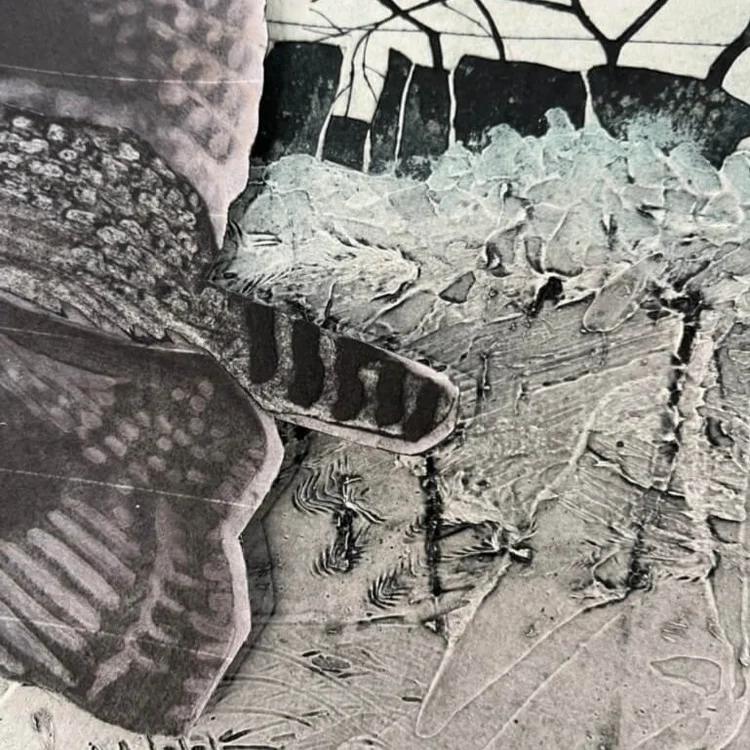 Collagraph Shells A Complete Guide to Making Collagraphs — Carol Nunan, Isle of Bute ...