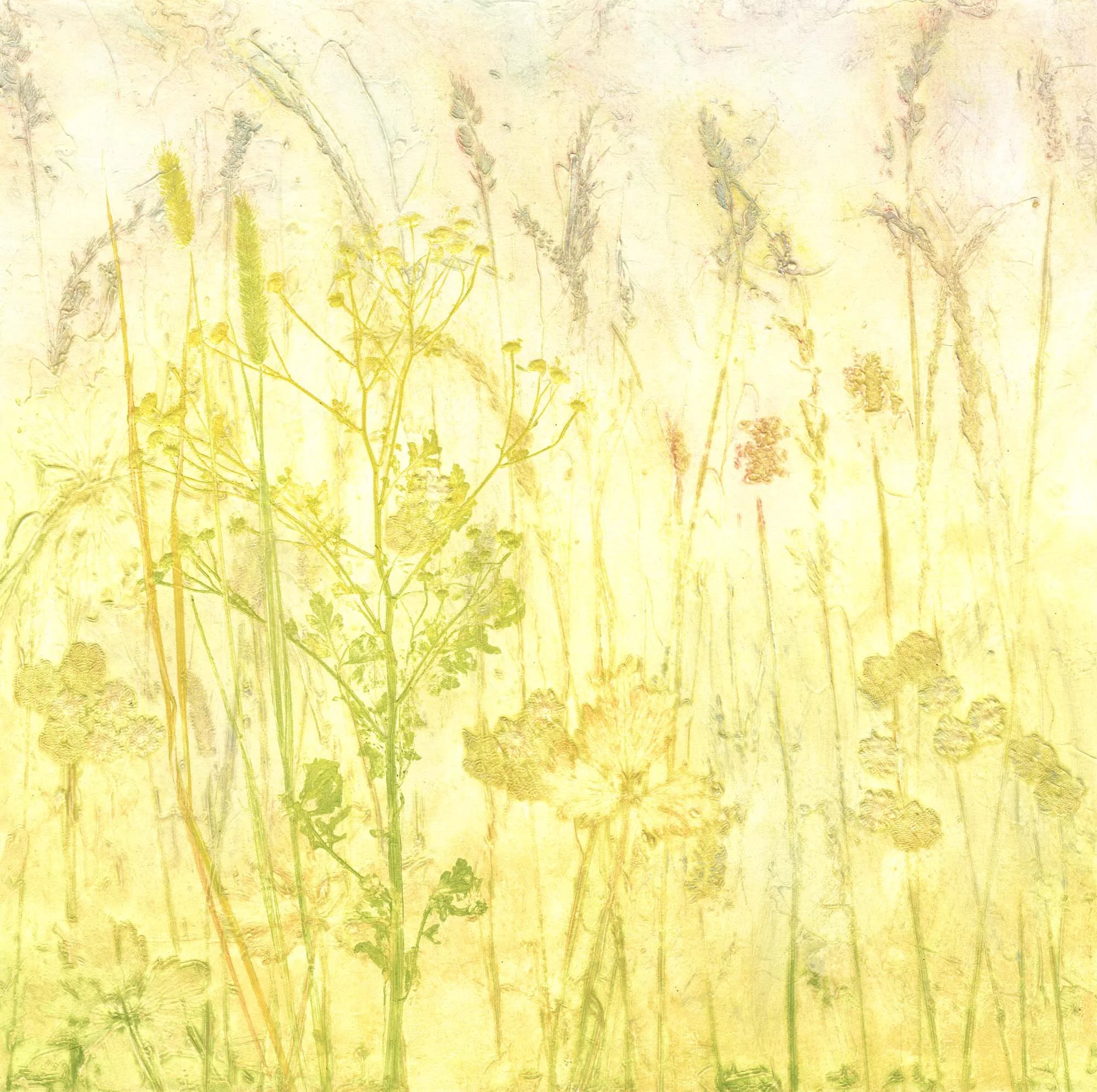 Delicate collagraph print in summer yellows, lilacs and pinks using grasses and plants found in the hedgerows of country lanes