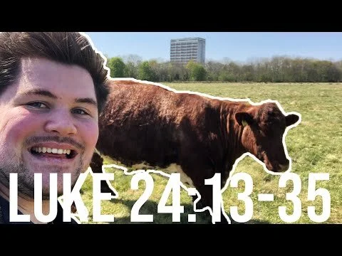 CHASED BY A COW!!! - Luke 13-35 Bible Study (Copy)