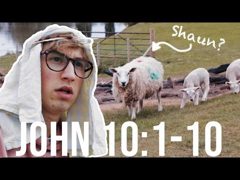 FINDING SHAUN THE SHEEP - John 10:1-10 Bible Study (Copy)