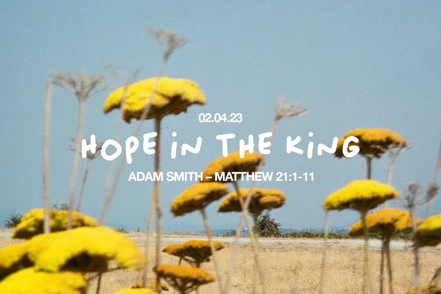Sunday 2 April 2023: Adam Smith - Hope In The King (Matthew 21:1-11) episode artwork