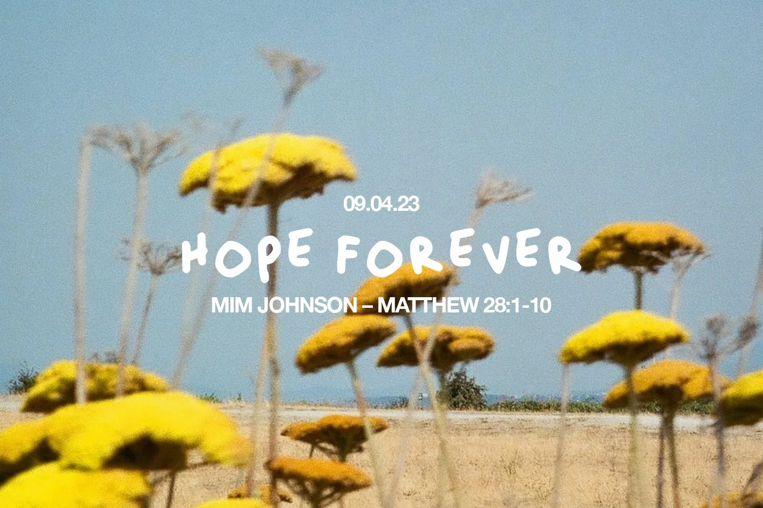 Sunday 9 April 2023: Mim Johnson - Hope Forever (Matthew 28:1-10) episode artwork