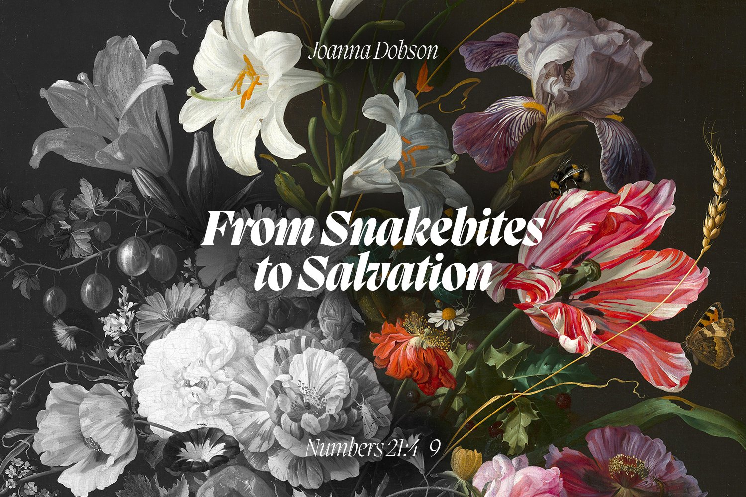 Sunday 10 March 2024: Joanna Dobson - From Snakebites to Salvation (Numbers 21:4-9) episode artwork