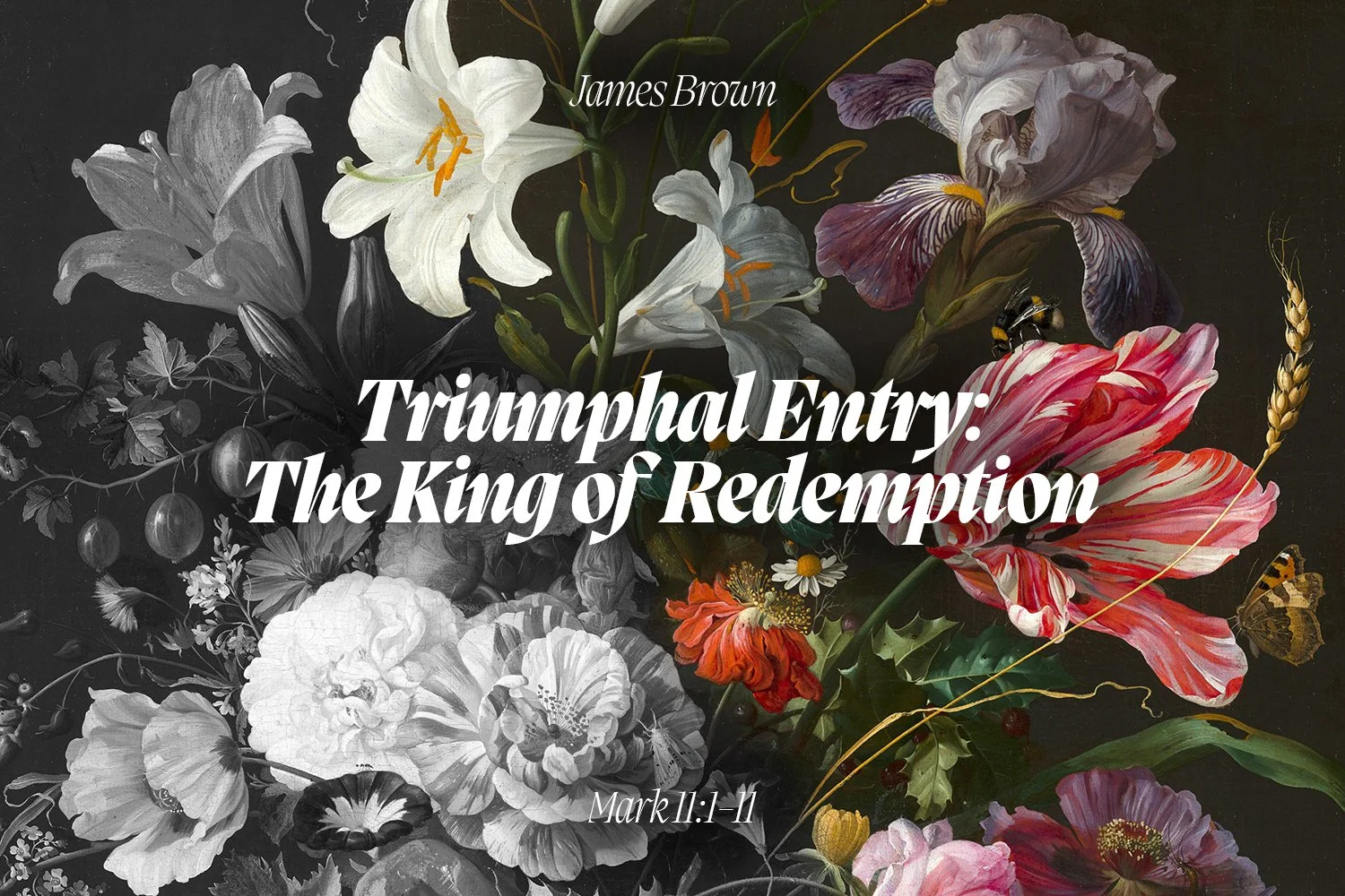 Sunday 24 March 2024: James Brown - Triumphal Entry: The King of Redemption (Mark 11:1-11) episode artwork