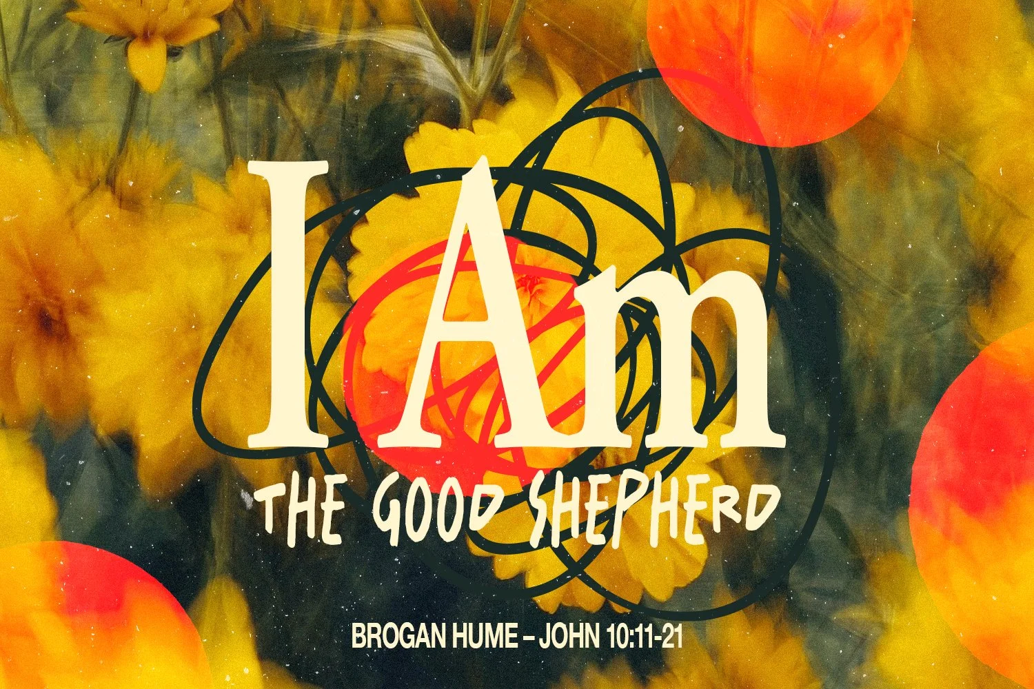 Sunday 13 October 2024: Brogan Hume - I Am The Good Shepherd (John 10:11-21) episode artwork