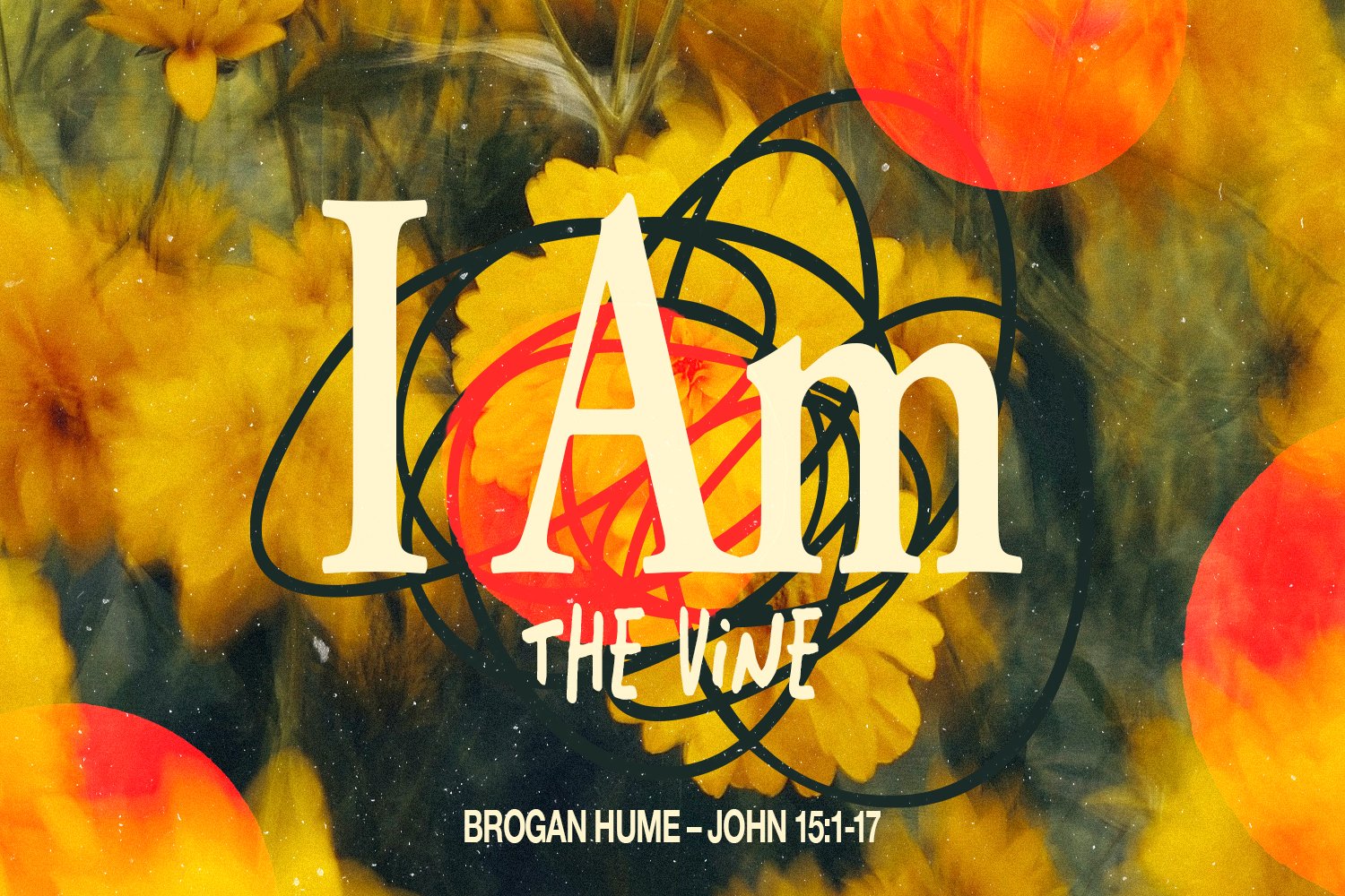 Sunday 24 November 2024: Brogan Hume - I Am The Vine (John 15:1-17) episode artwork