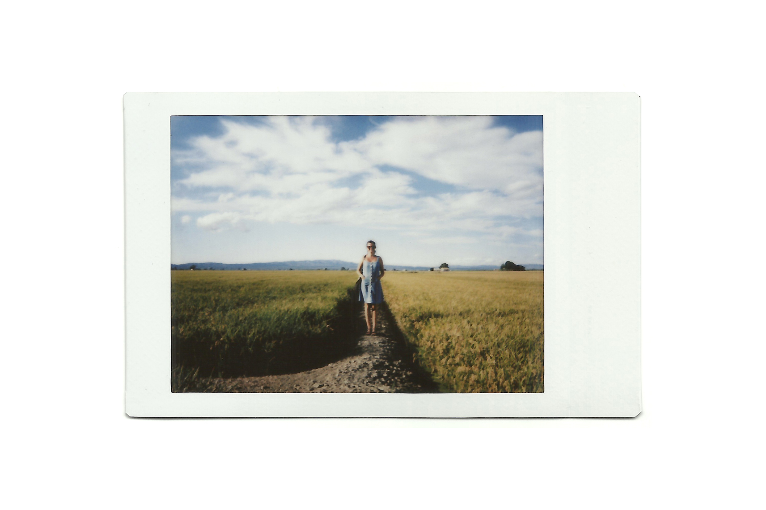  Espe. Delta del Ebro. Fuji Instax mini 