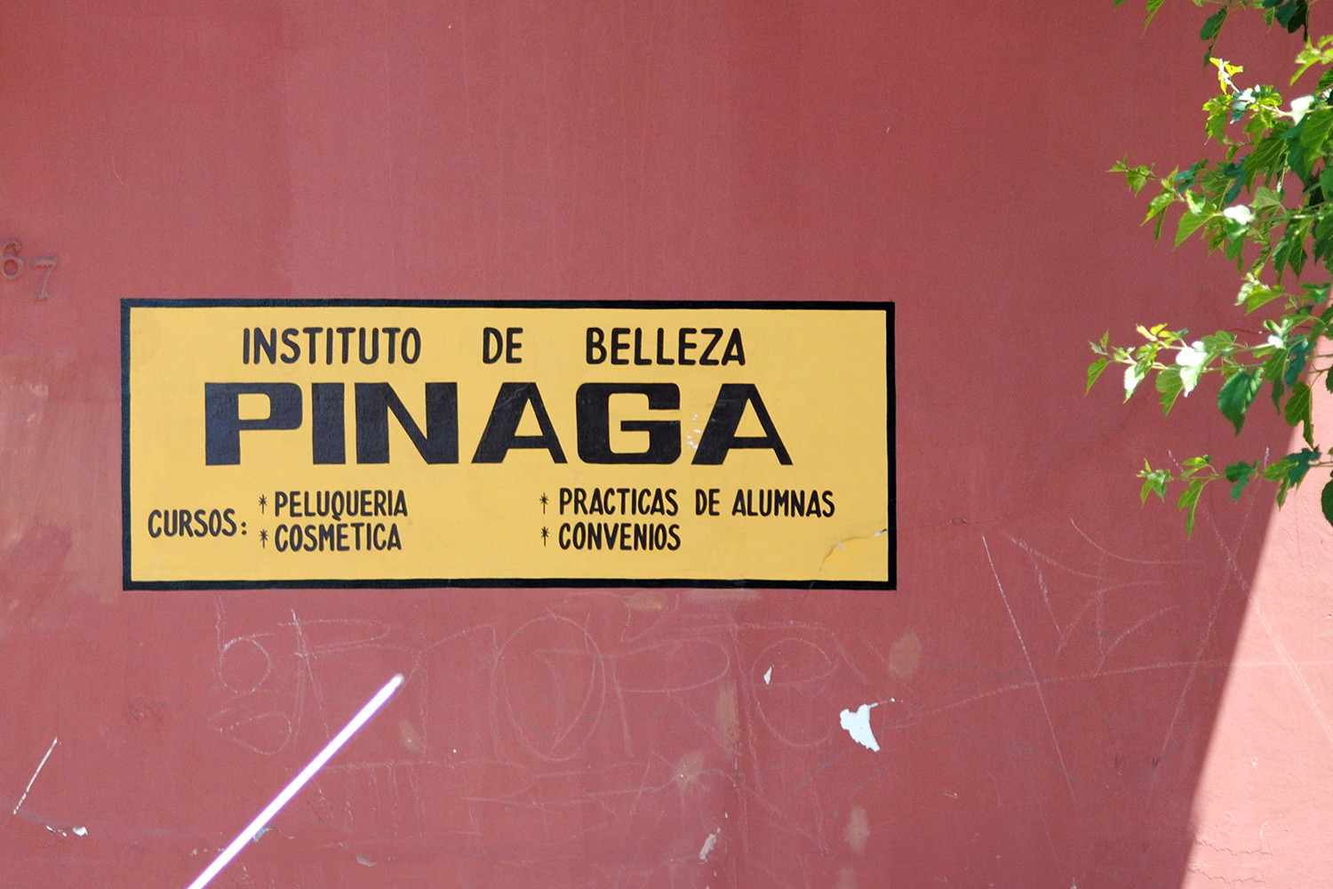  Pinaga 