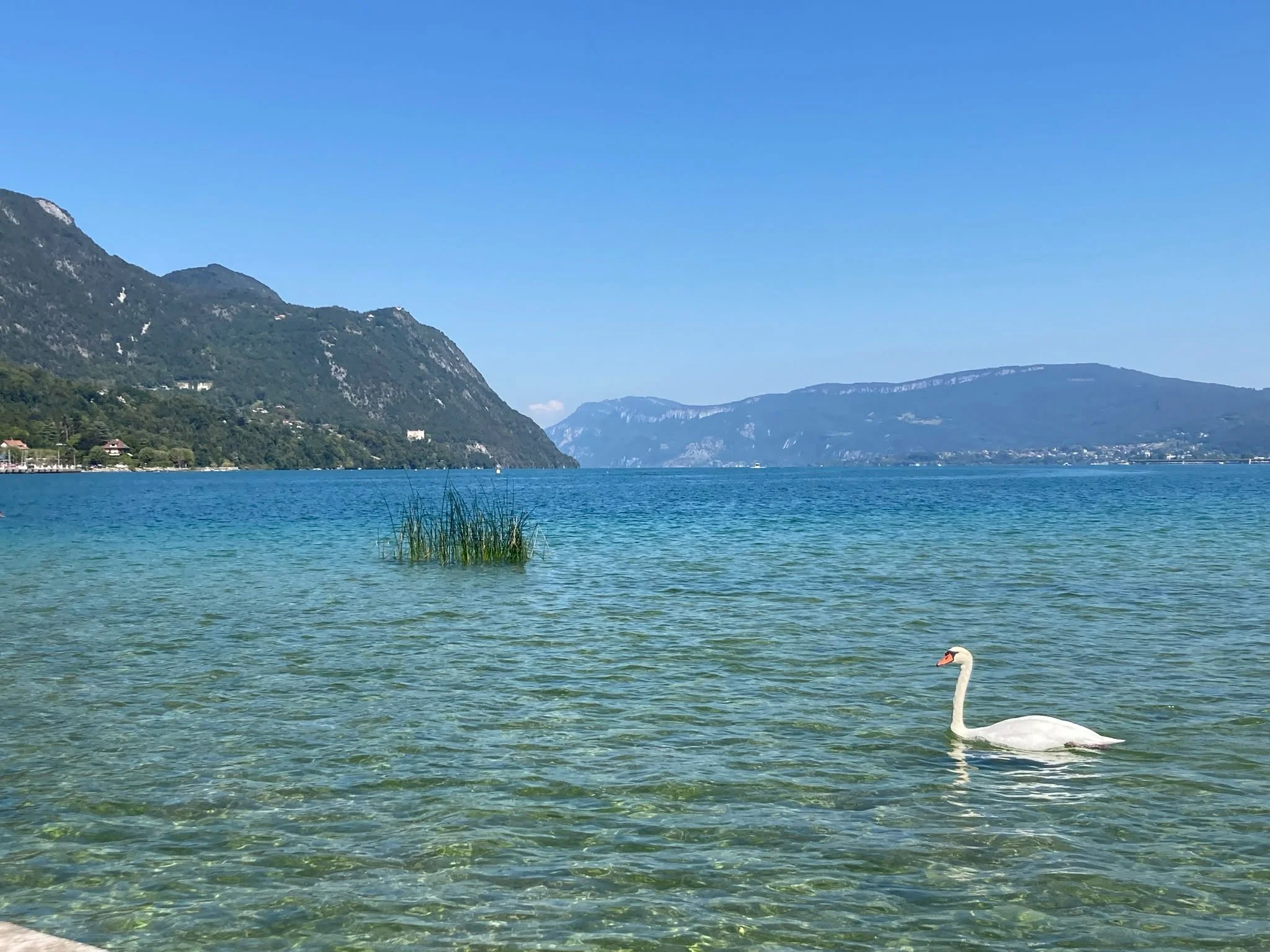 Où se baigner autour des Lodges de la ViaRhôna ? Notre sélection de lacs à moins de 30 minutes