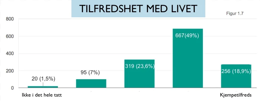 tilfredshet.jpg