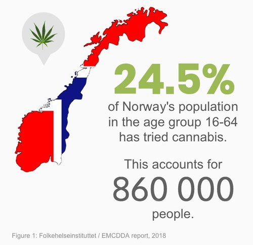 cannabis user percent.jpg