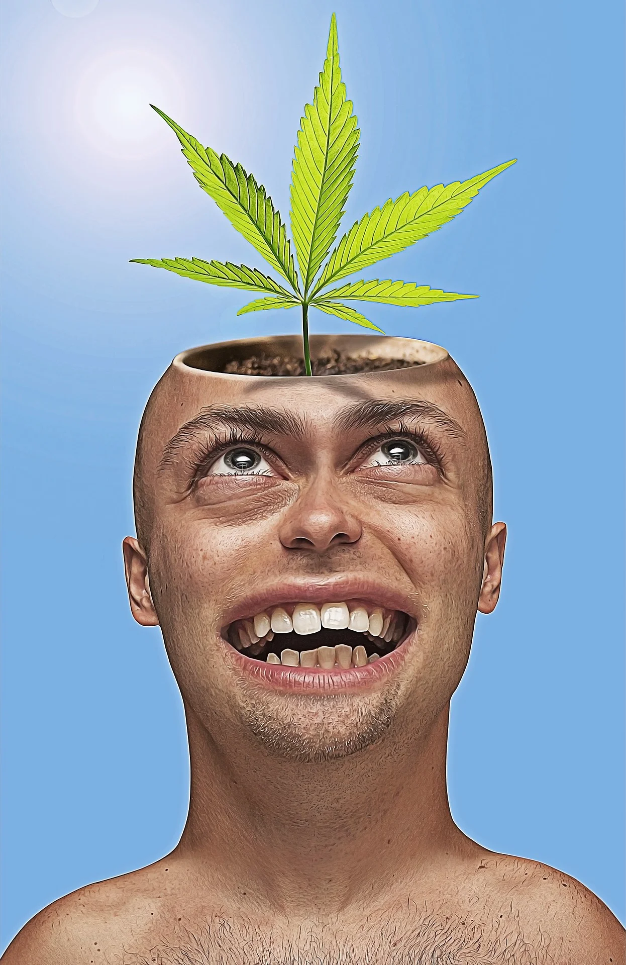 Hode med cannabisblad lisensfri.jpg