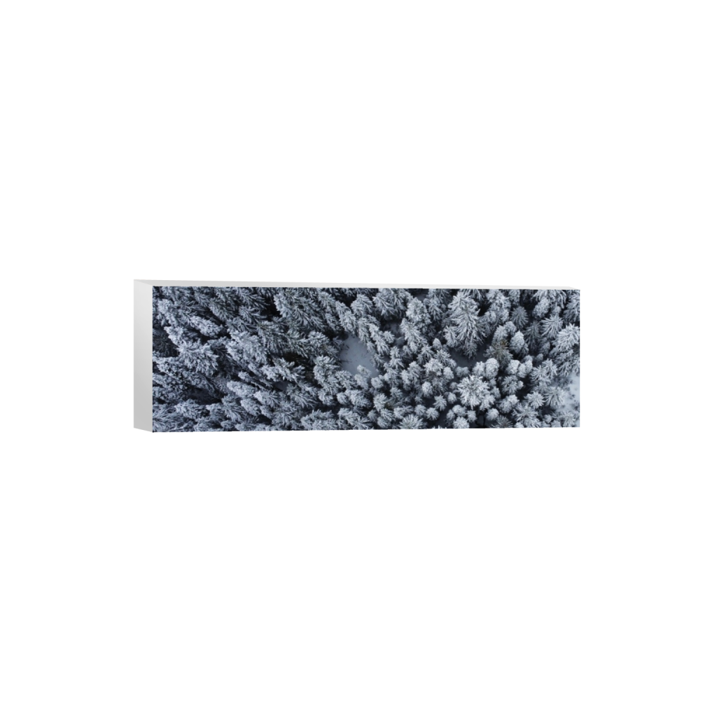 canvas_rectangle1_3_0_2441_8000_2666_0_false_ffffff_0_0.png