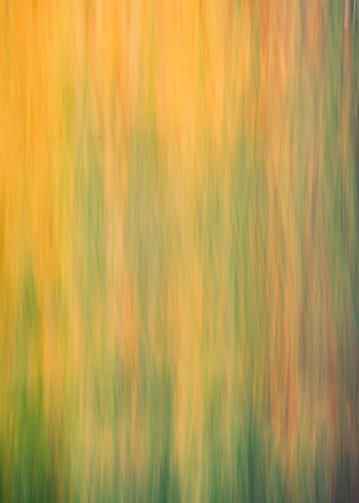 canvas_rectangle5_7_0_224_4480_6272_0_false_ffffff_0_0.png