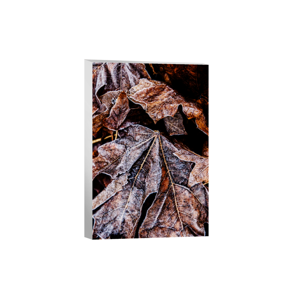 canvas_rectangle2_3_281_0_2780_4171_0_false_ffffff_0_0.png