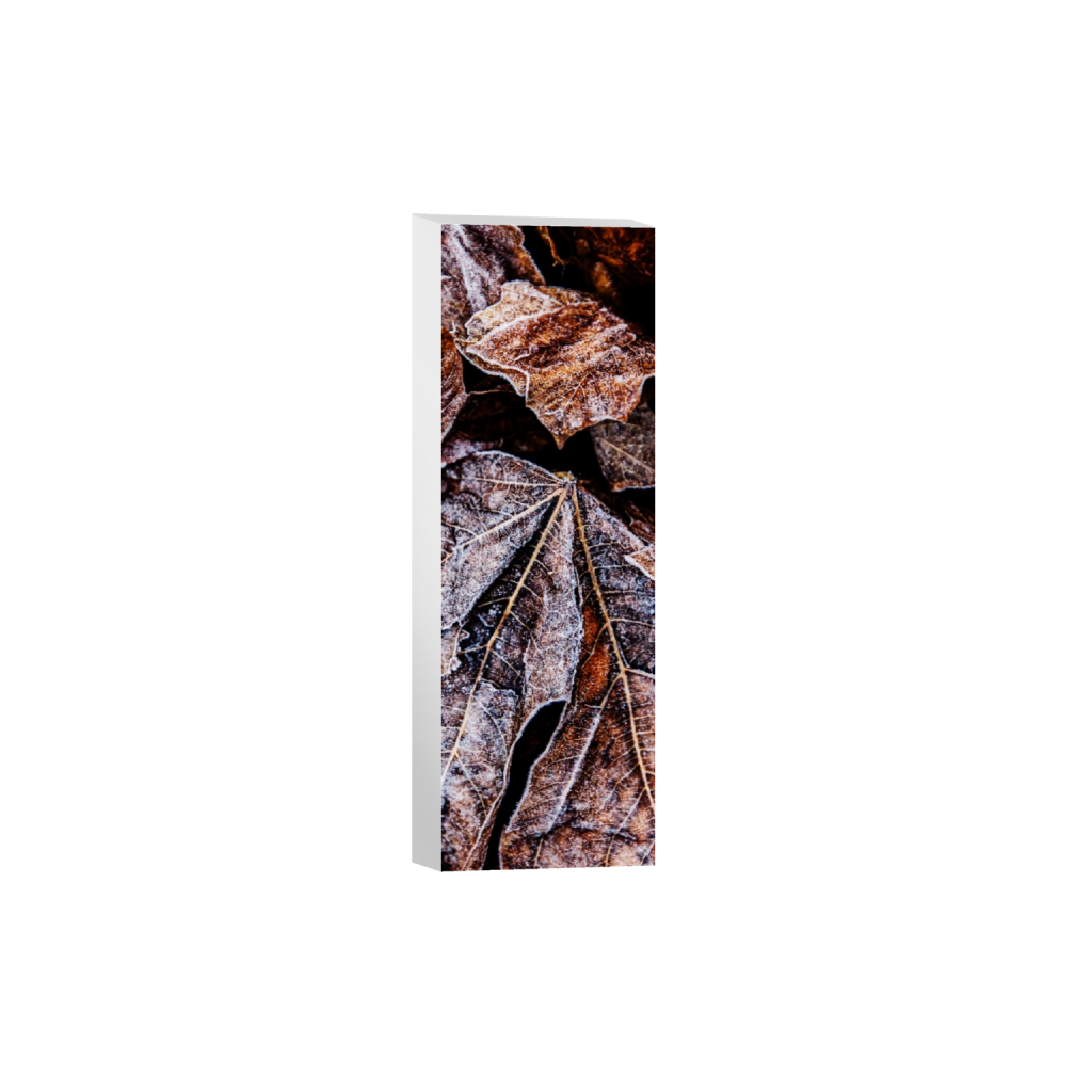 canvas_rectangle1_3_976_0_1390_4171_0_false_ffffff_0_0.png