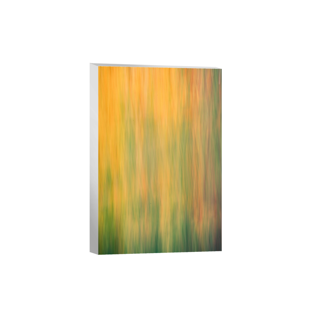 canvas_rectangle2_3_0_0_4480_6720_0_false_ffffff_0_0.png