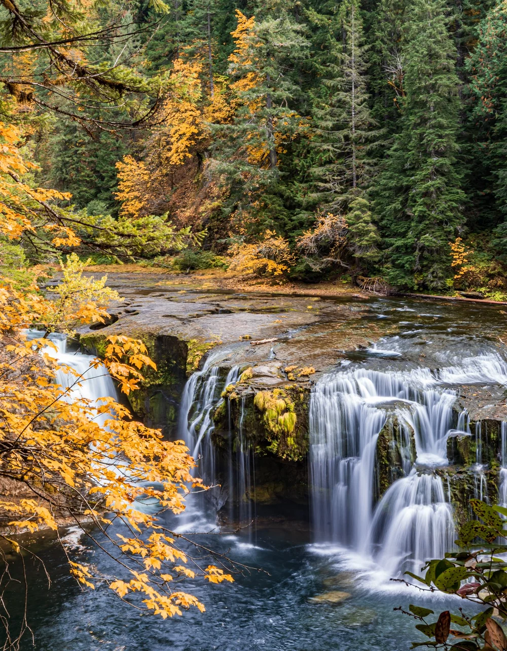 Landscape Lower Lewis River LEWIS RIVER FALLS Updated January 2026
