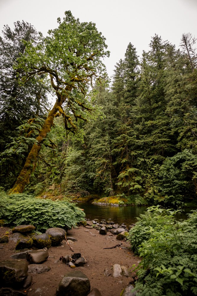 Studio623photography-Elopement-Photos-MtHood-OR-12.jpg