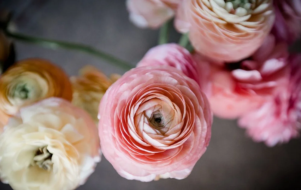 Studio623photography-EE-SandyRiverAirportWedding_-7.jpg