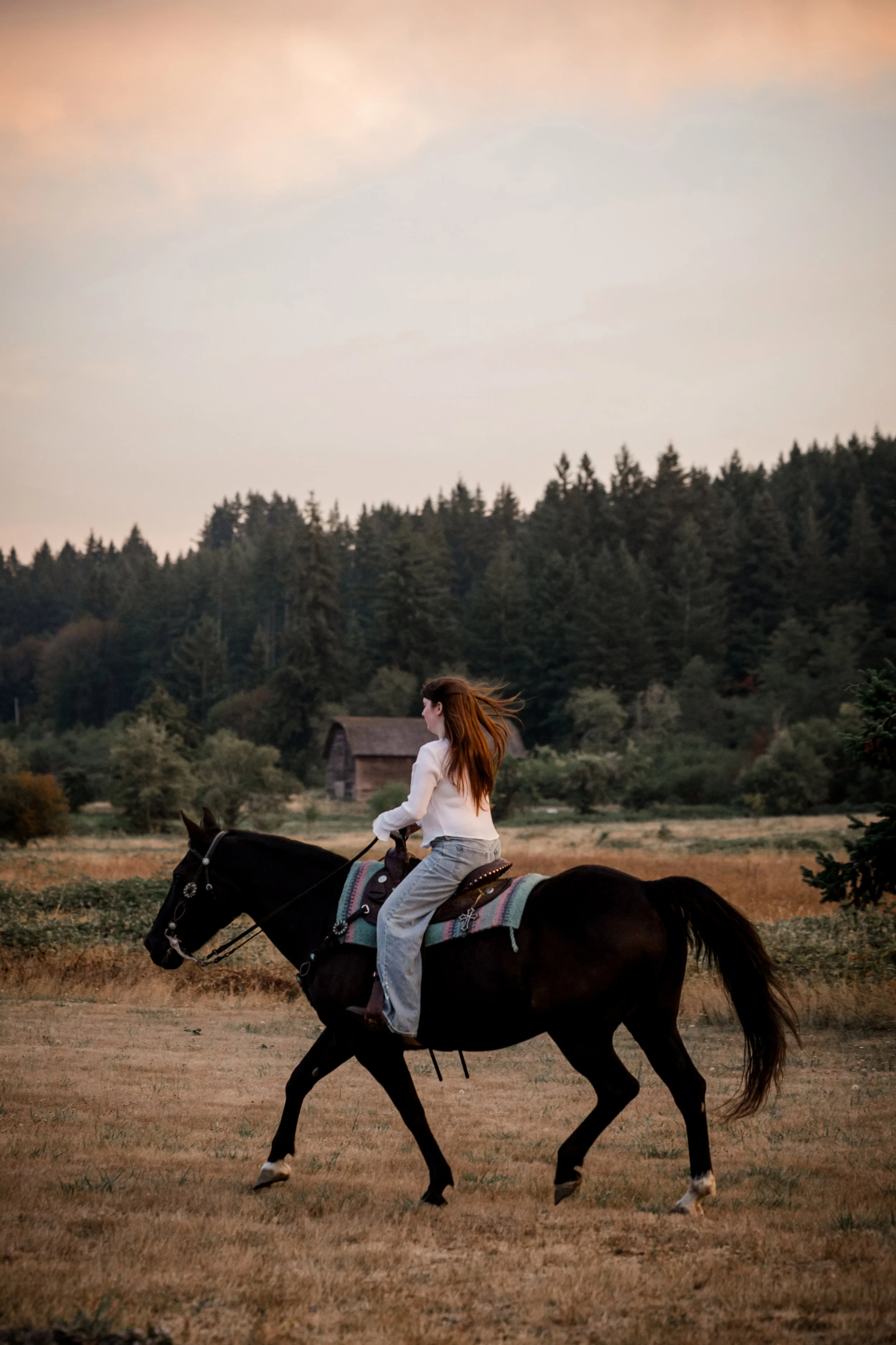 Studio623photography_HorseSeniorPhotos_-17.jpg