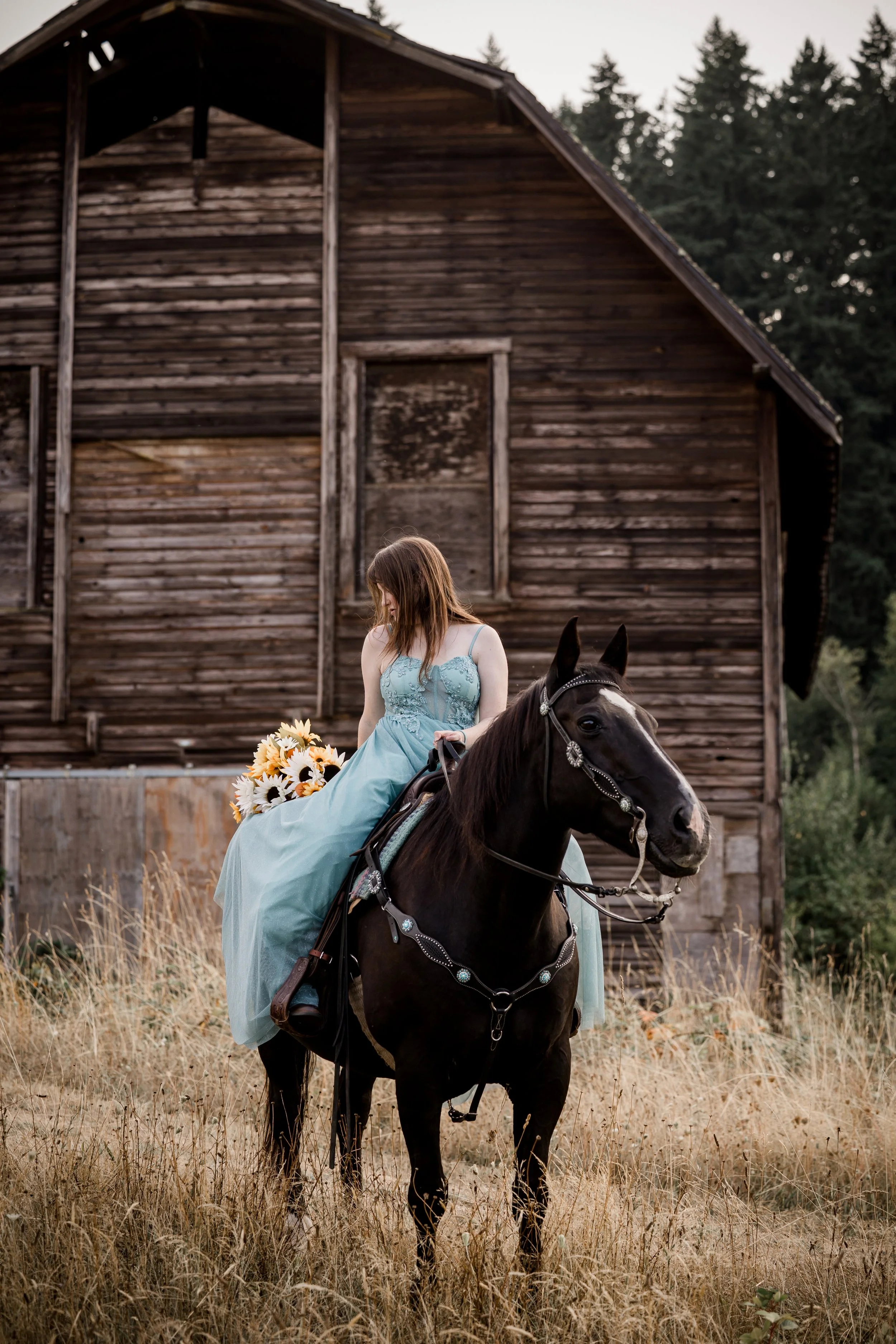Studio623photography_HorseSeniorPhotos_-5.jpg