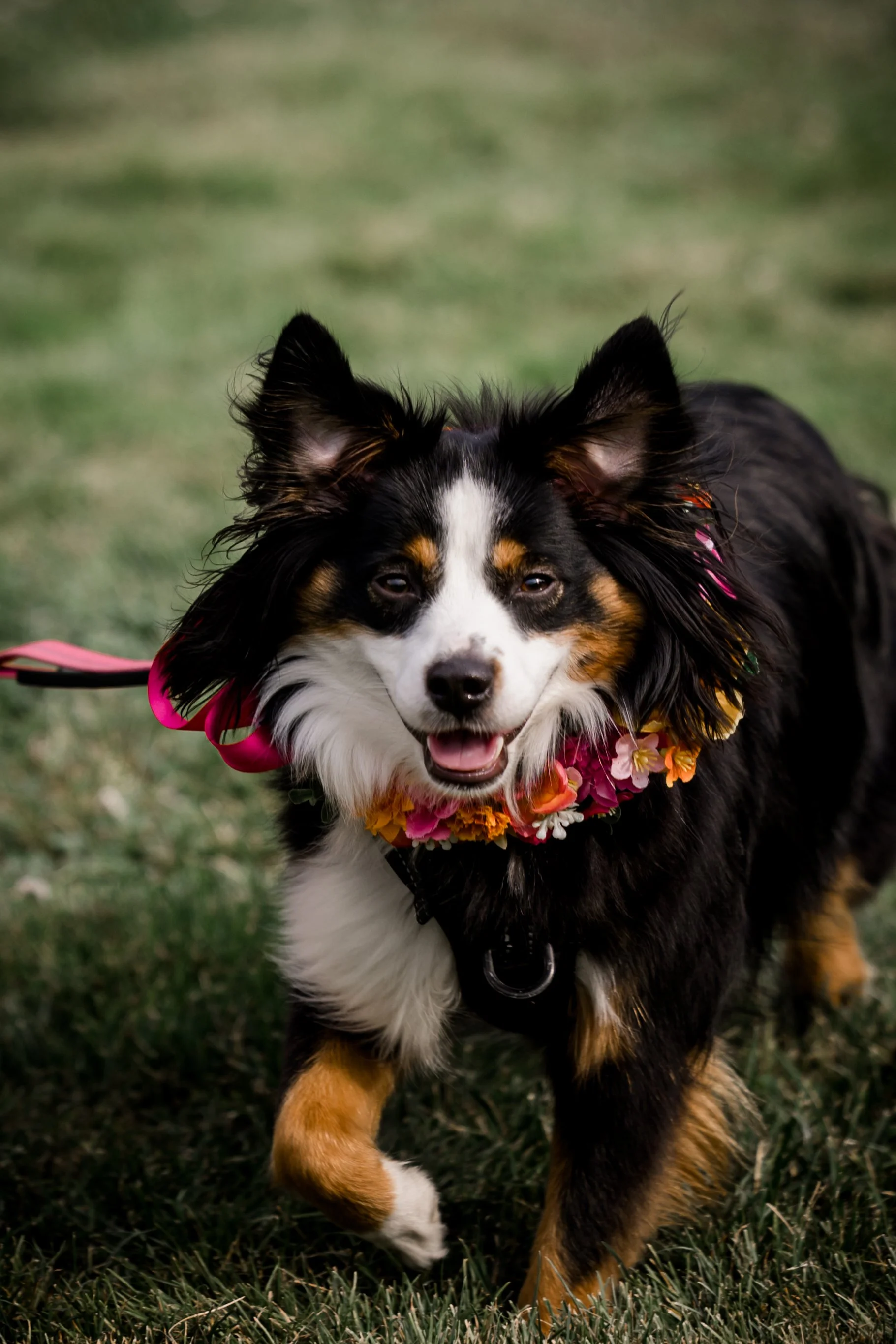 Studio623photography_Oregon-Garden-Wedding--18.jpg