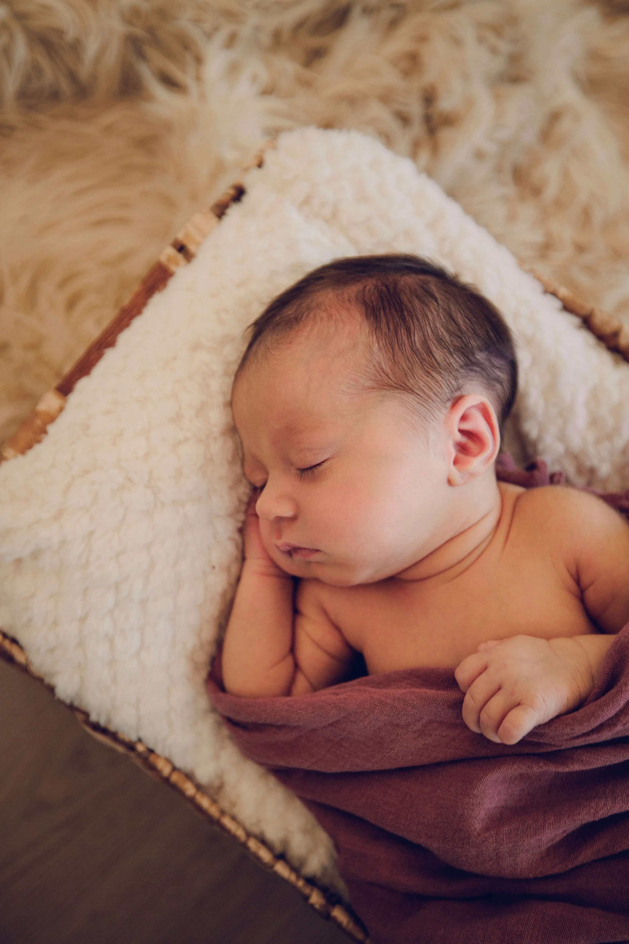 Studio623photography_Newborn_-11.jpg