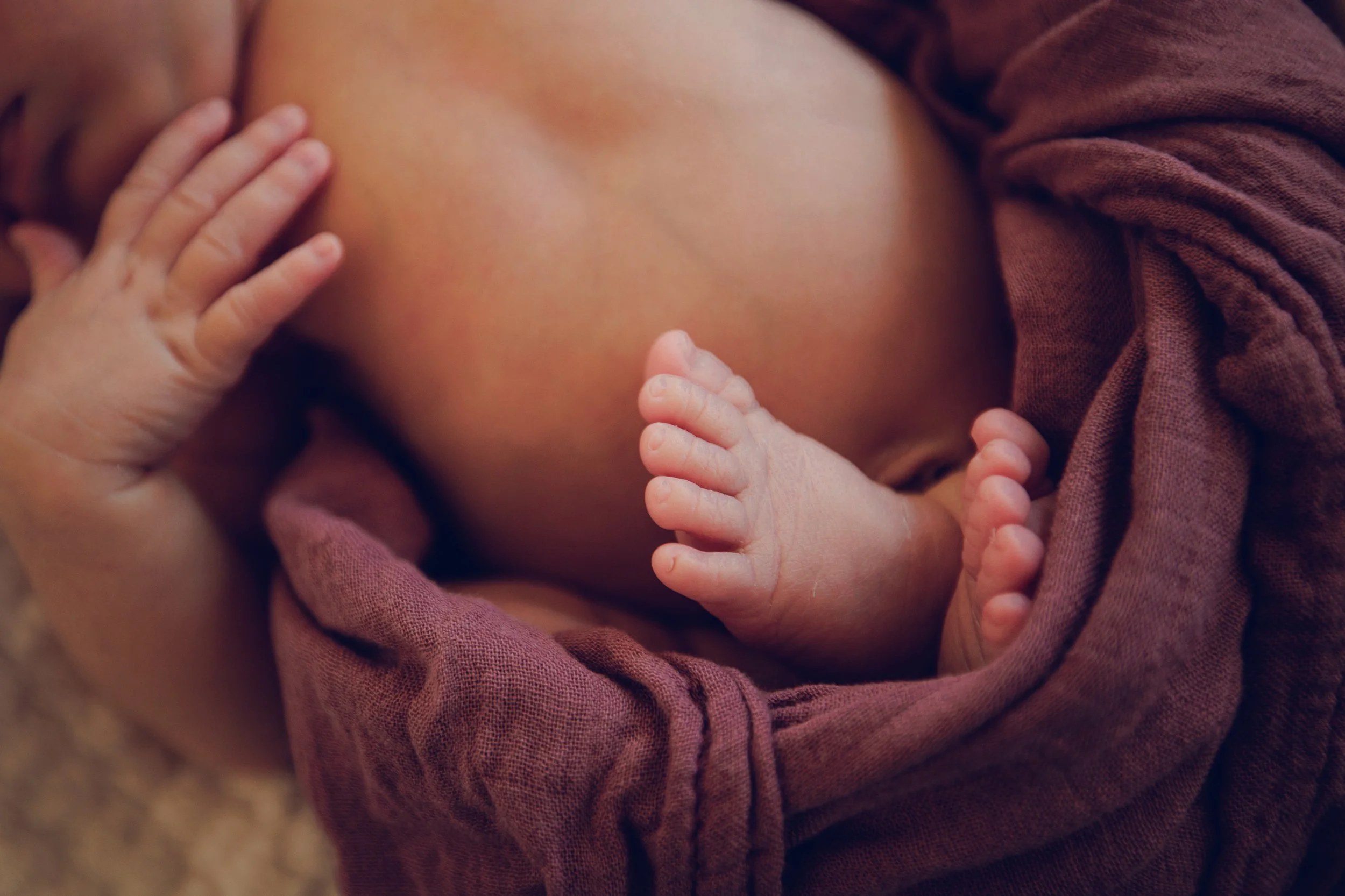 Studio623photography_Newborn_-12.jpg