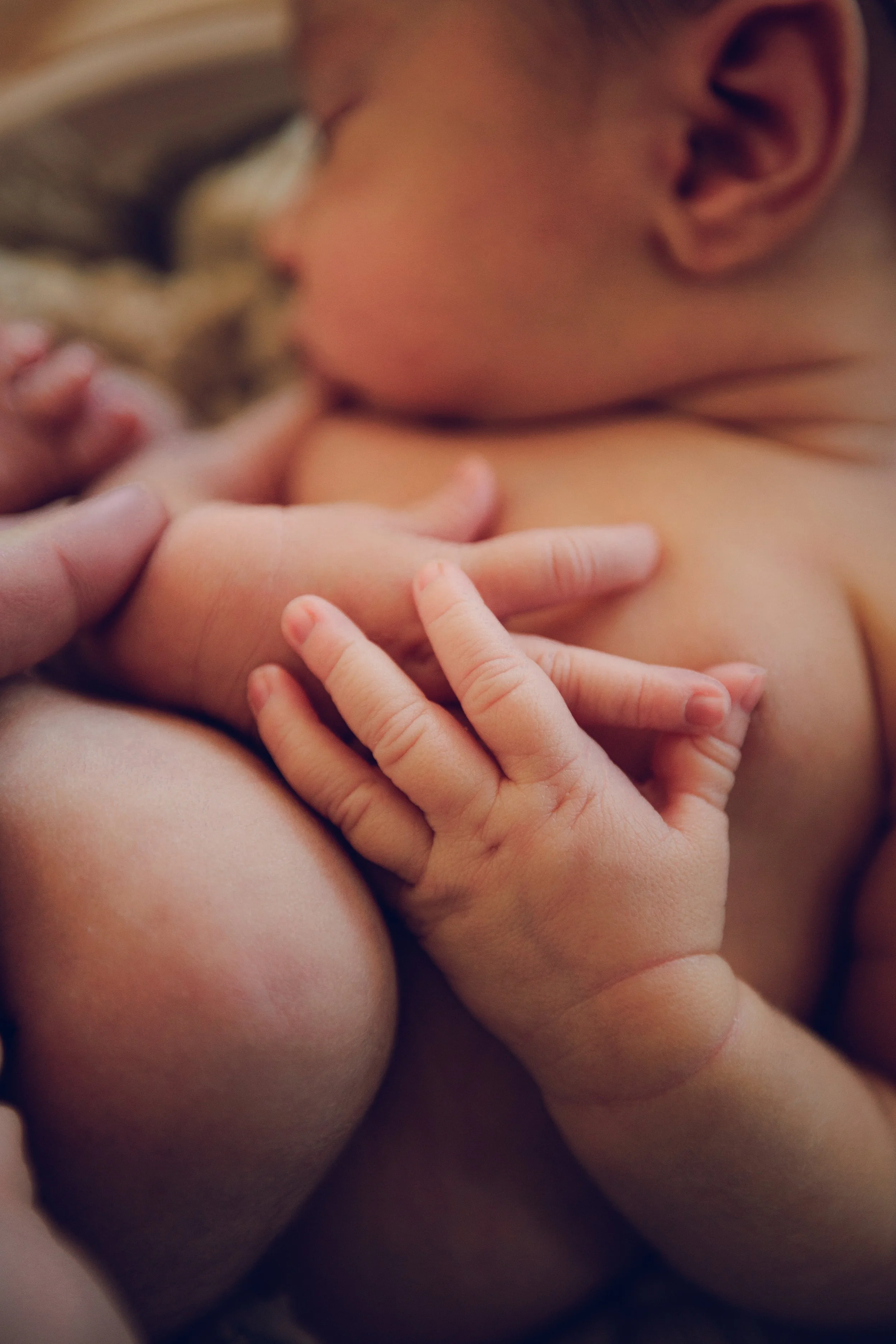 Studio623photography_Newborn_-9.jpg