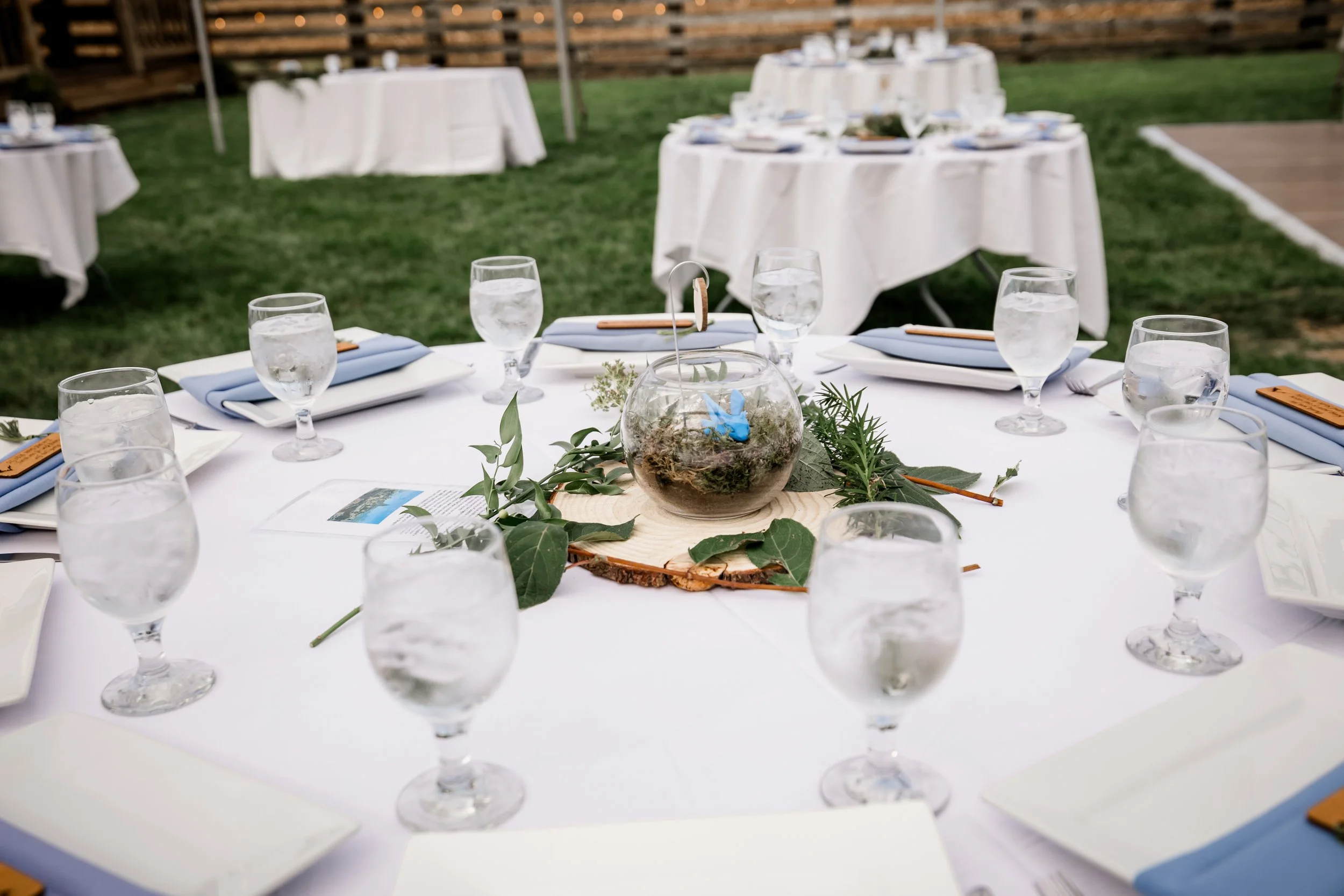 Studio623photography_2025-wedding-Coleman-guest-ranch-zoesean--11.jpg