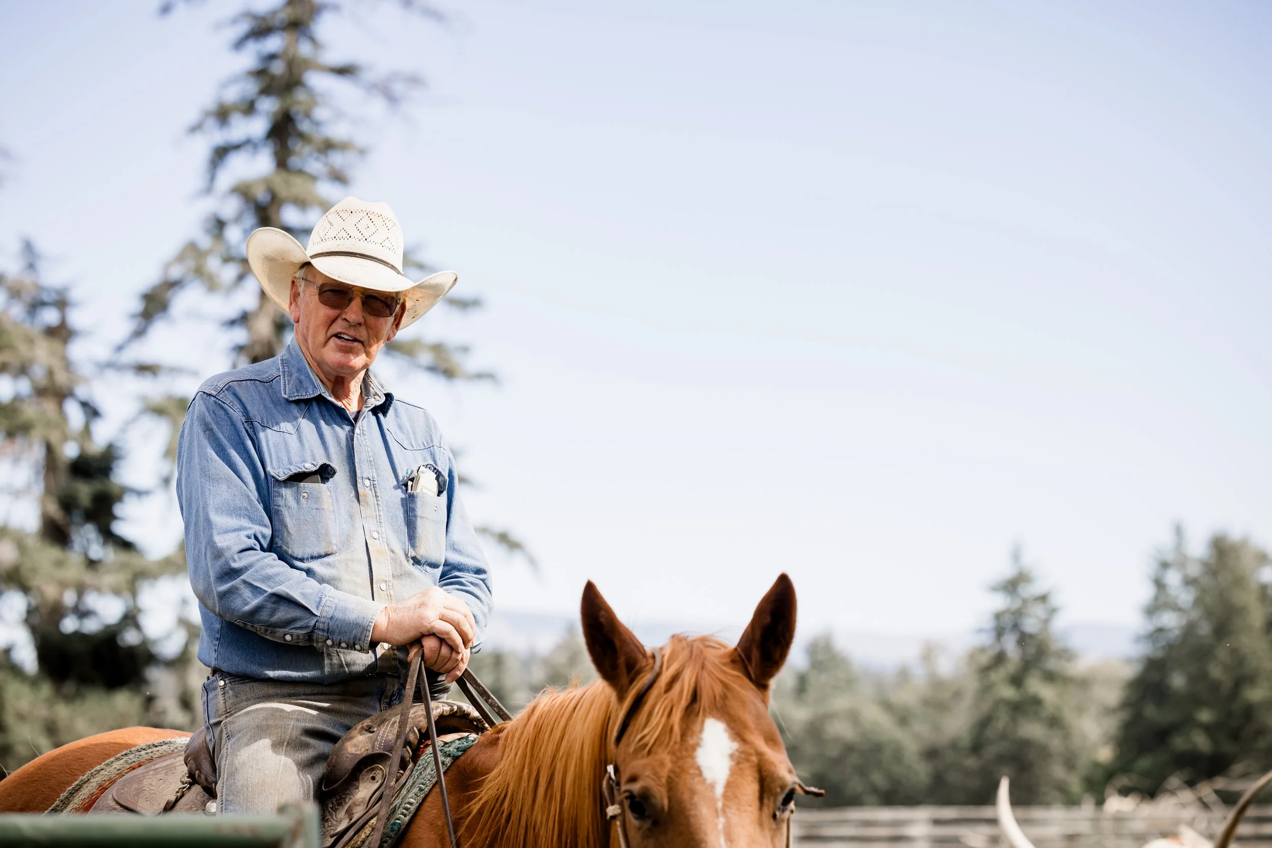 Studio623photography_2025-wedding-Coleman-guest-ranch-zoesean--29.jpg