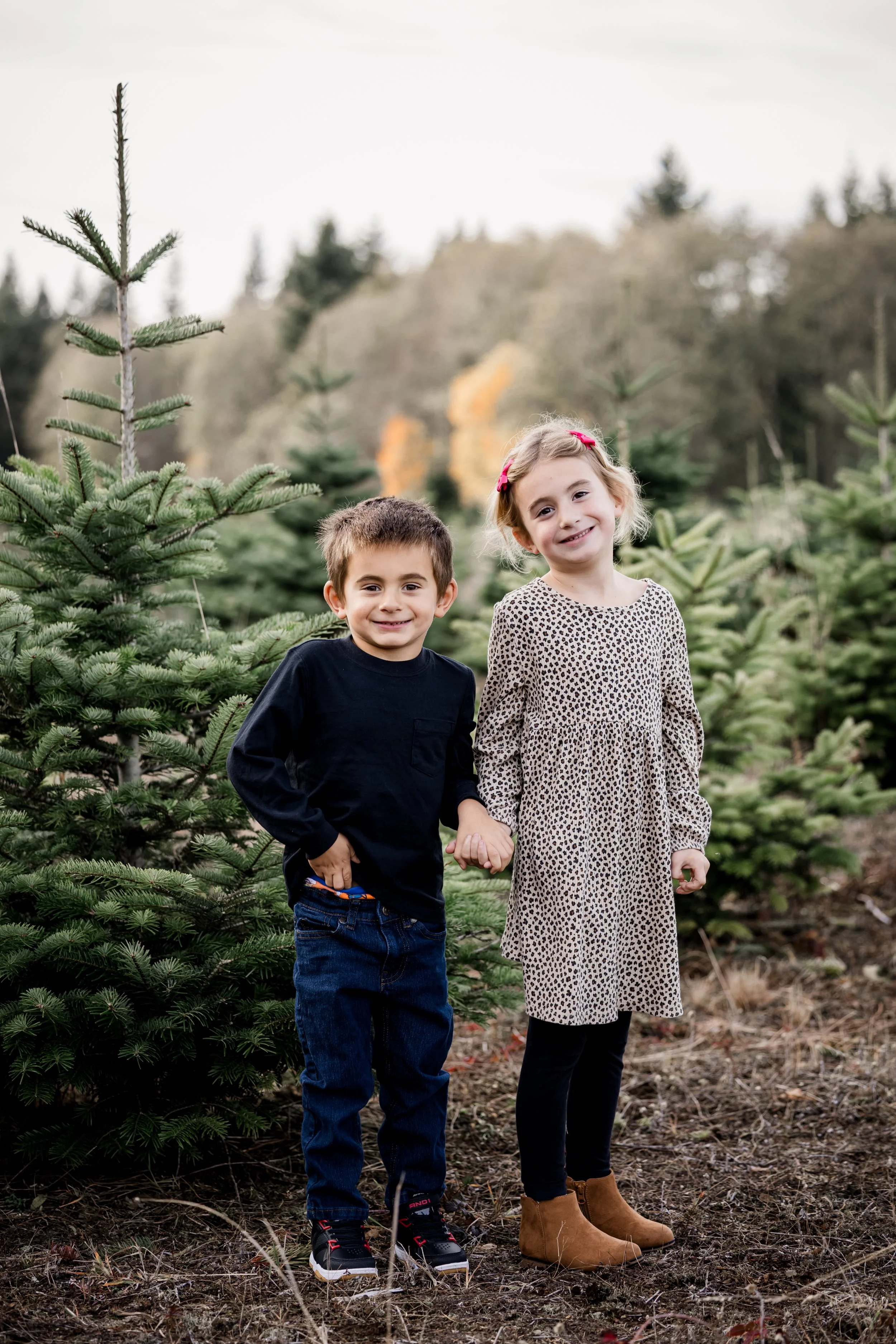 Studio623photography2025B_TreeFarm_-2.jpg
