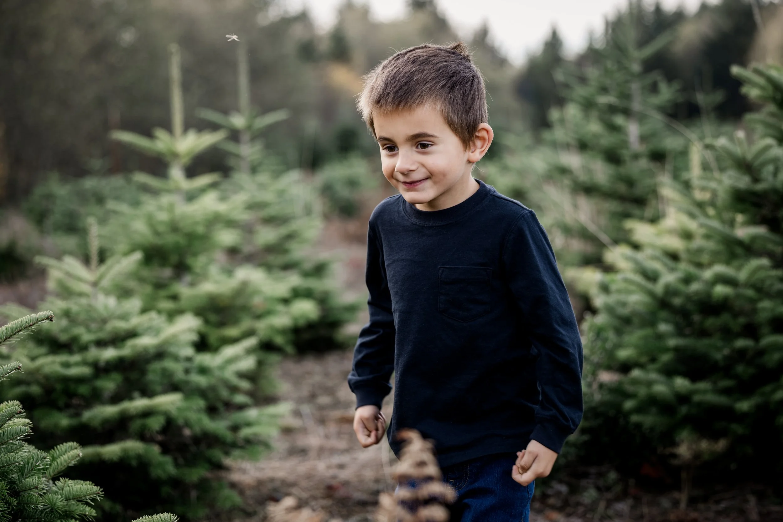Studio623photography2025B_TreeFarm_-3.jpg