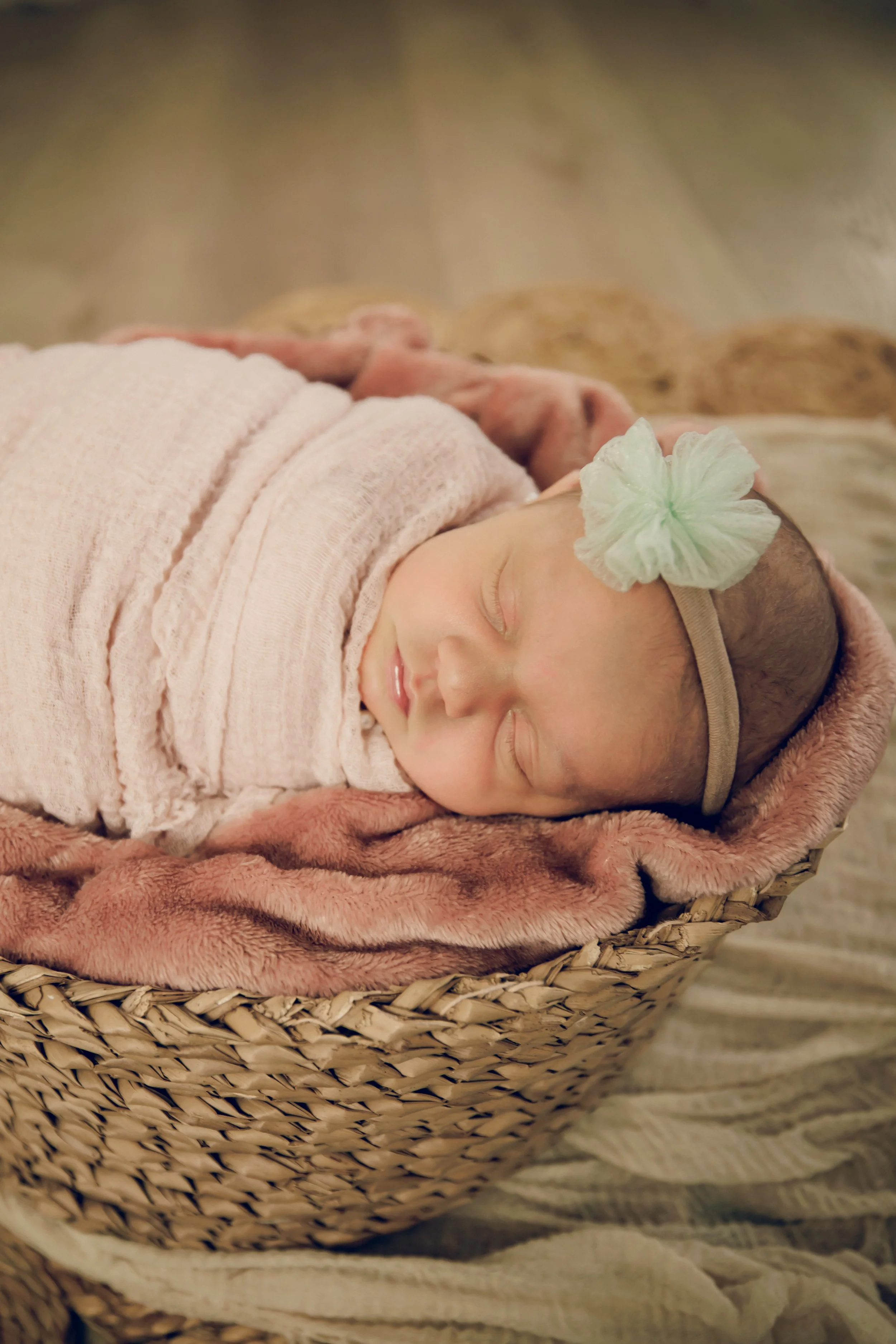 Studio623Photography_NewbornPhotos2026_-2.jpg