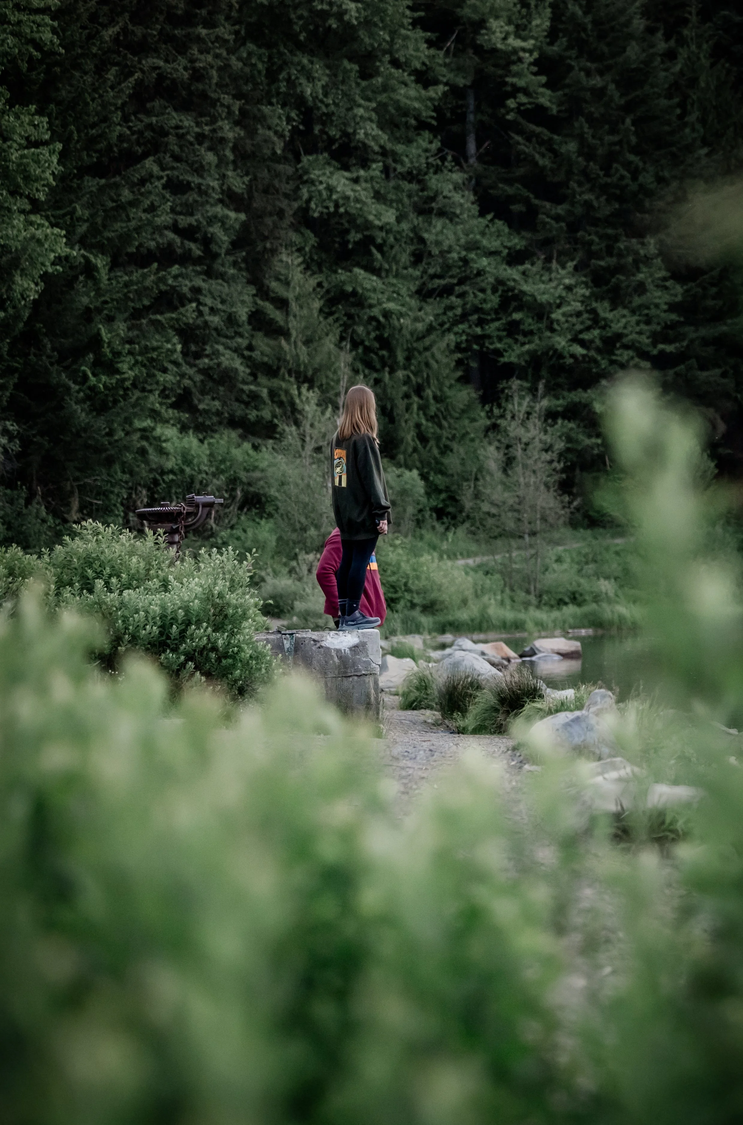 Studio623Photography-TrilliumLake-engagement-photos-proposal--1.jpg
