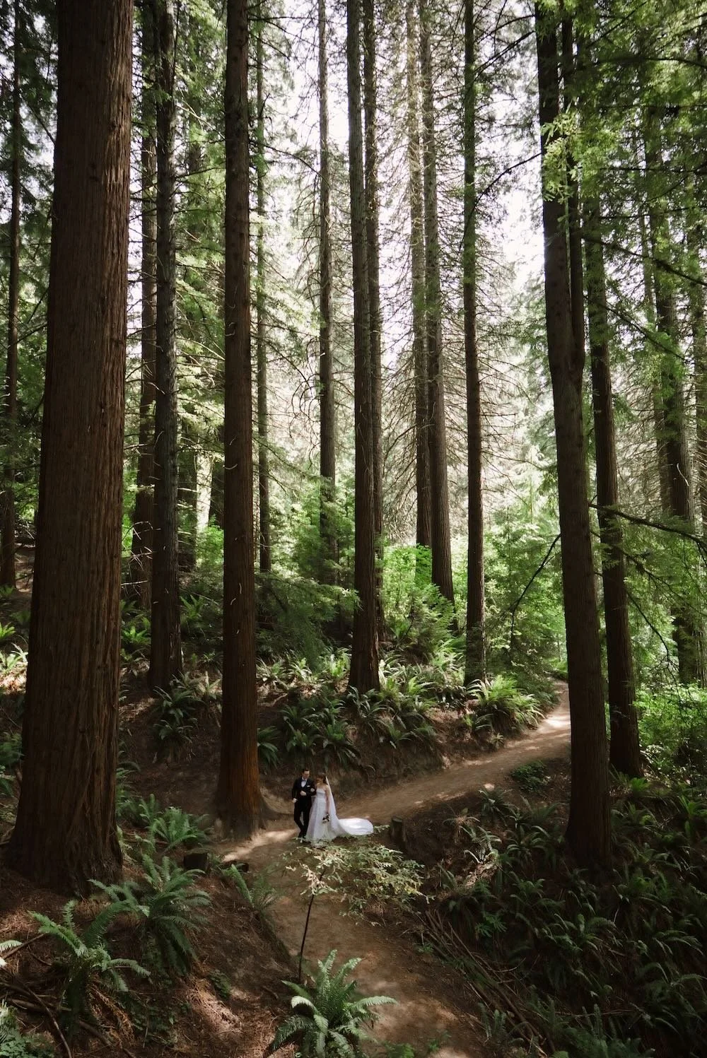 Hoyt Arboretum Redwood Deck Wedding | Portland Oregon Elopement Photographer