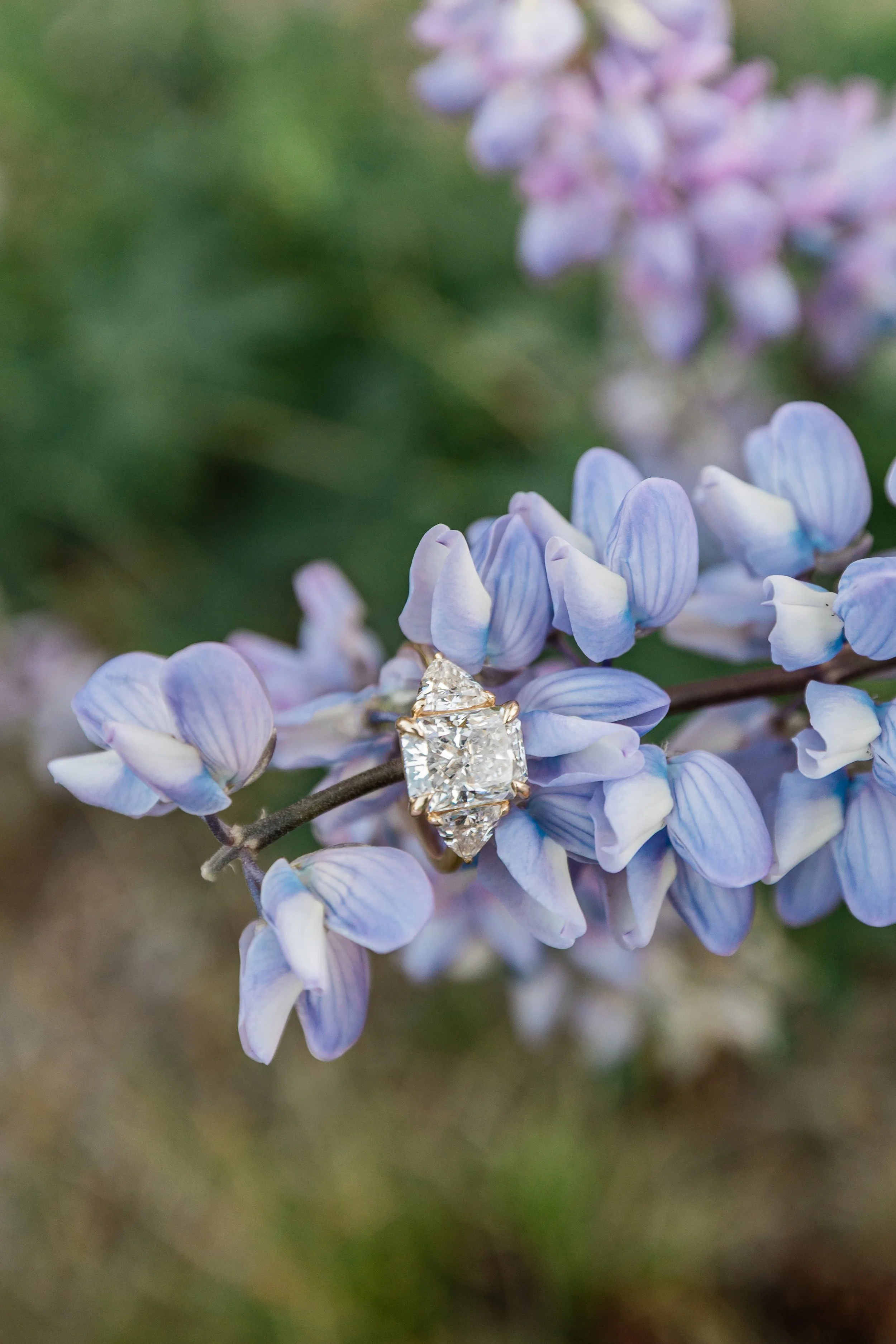 MtHood-Engagement-Photos-Studio623Photography-Sandy-Oregon-7.jpg