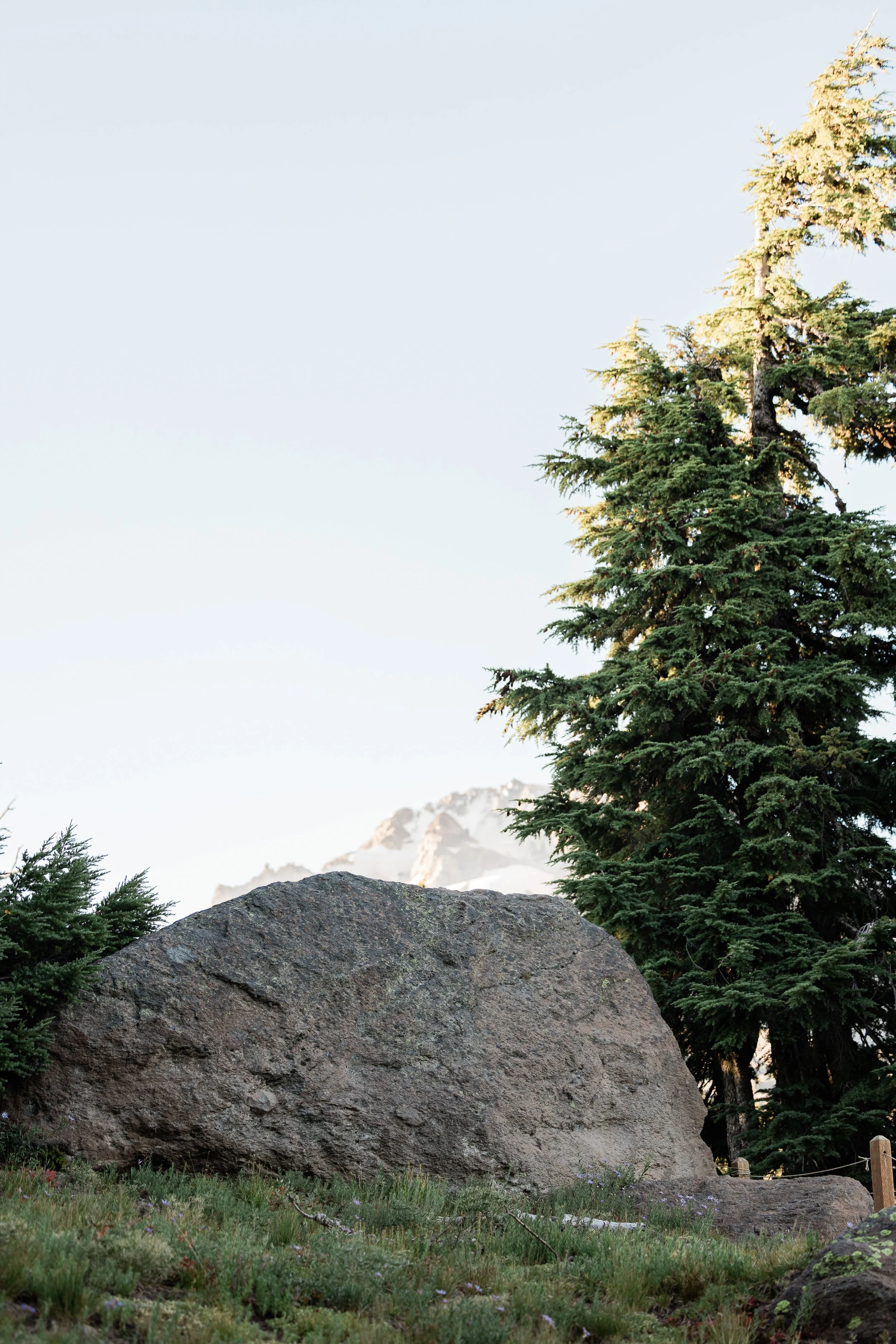 MtHood-Engagement-Photos-Studio623Photography-Sandy-Oregon-10.jpg