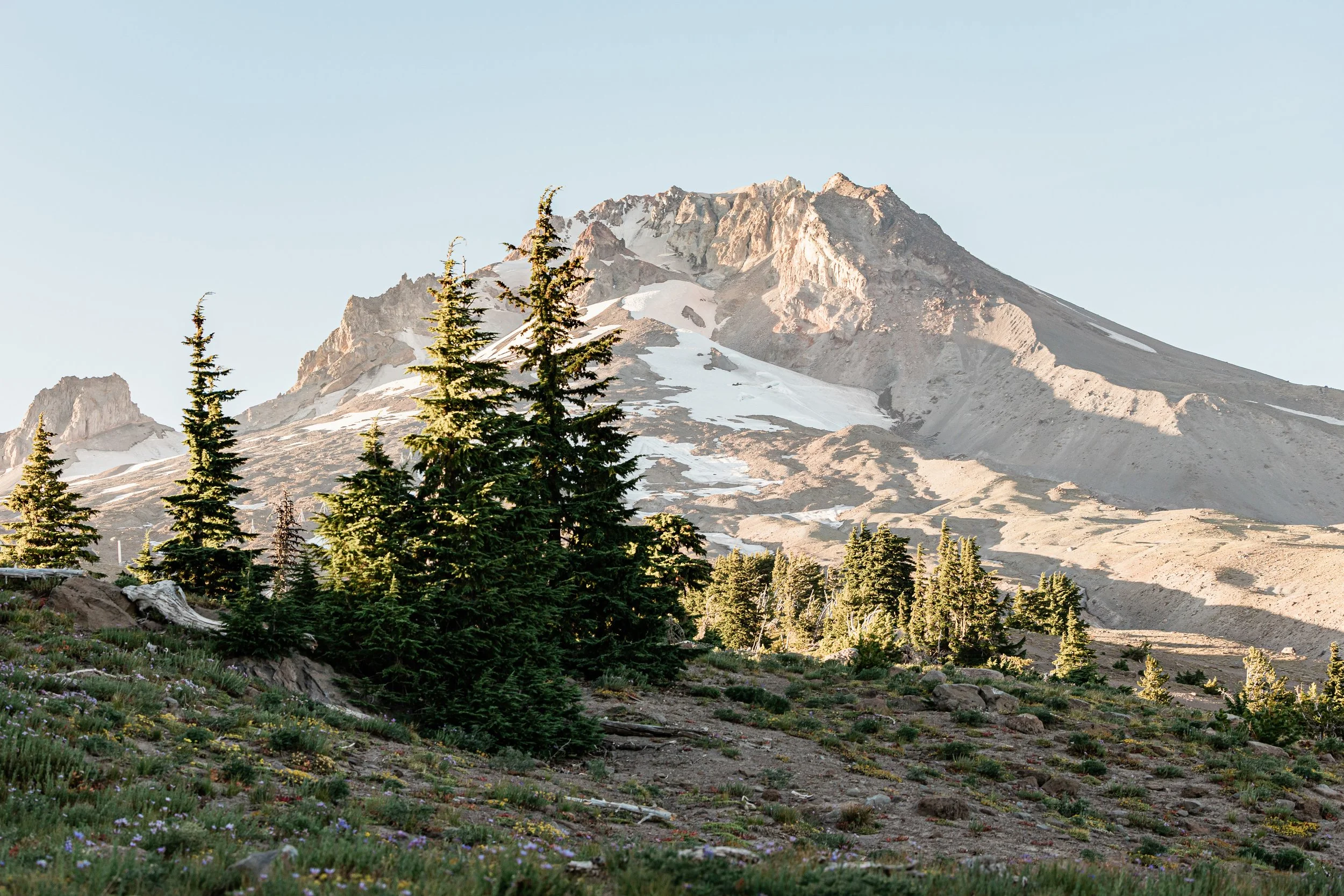 MtHood-Engagement-Photos-Studio623Photography-Sandy-Oregon-11.jpg