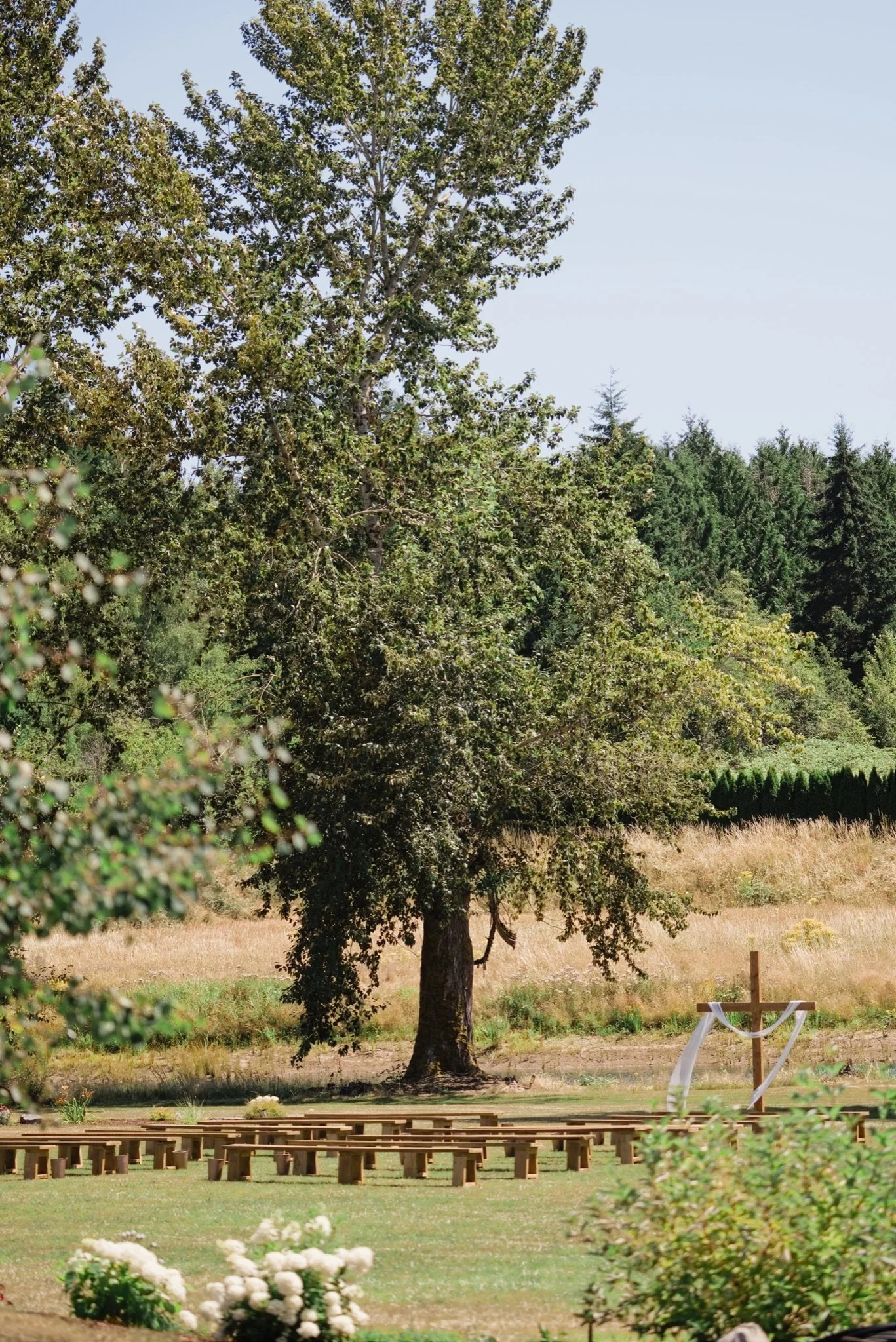 The backyard meadow in Boring Oregon with old cedars before the ceremony