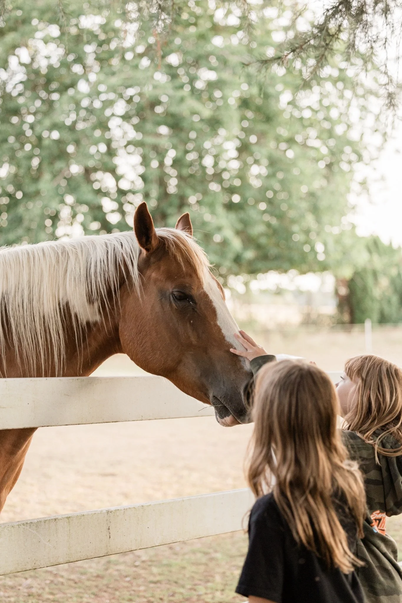 Equestrian-Photos-Studio623Photography-Country-Photographer-Sandy-Oregon-13.jpg
