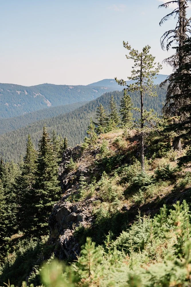 Studio623Photography-MtHood-Skibowl-Wedding-Photos-MtHood-Wedding-Photographer--168.jpg