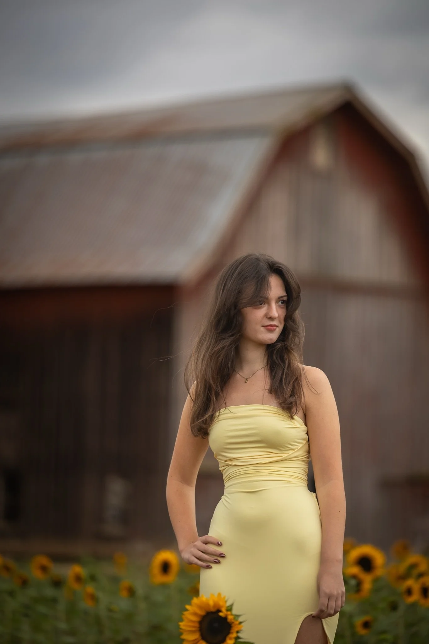 Sandy-Oregon-Senior-Photographer-Sunflowers-Studio623Photography-02.jpg