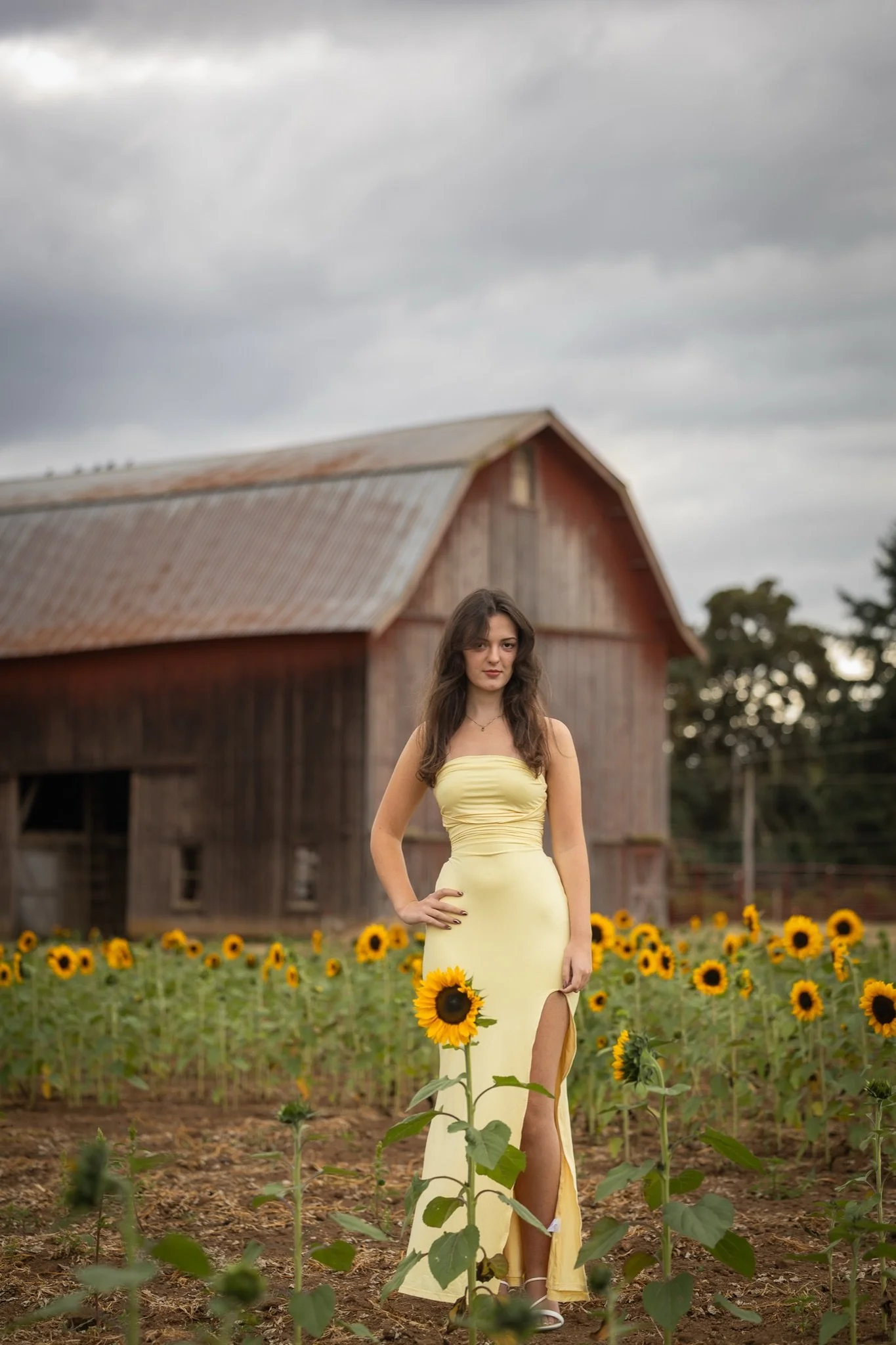 Sandy-Oregon-Senior-Photographer-Sunflowers-Studio623Photography-01.jpg