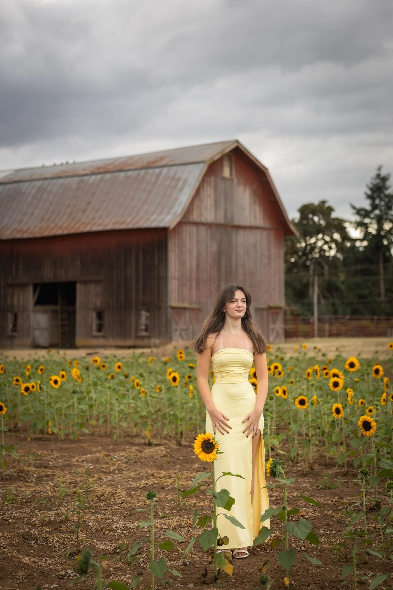 Sandy-Oregon-Senior-Photographer-Sunflowers-Studio623Photography-03.jpg